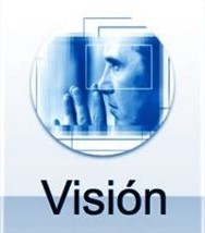 Vision